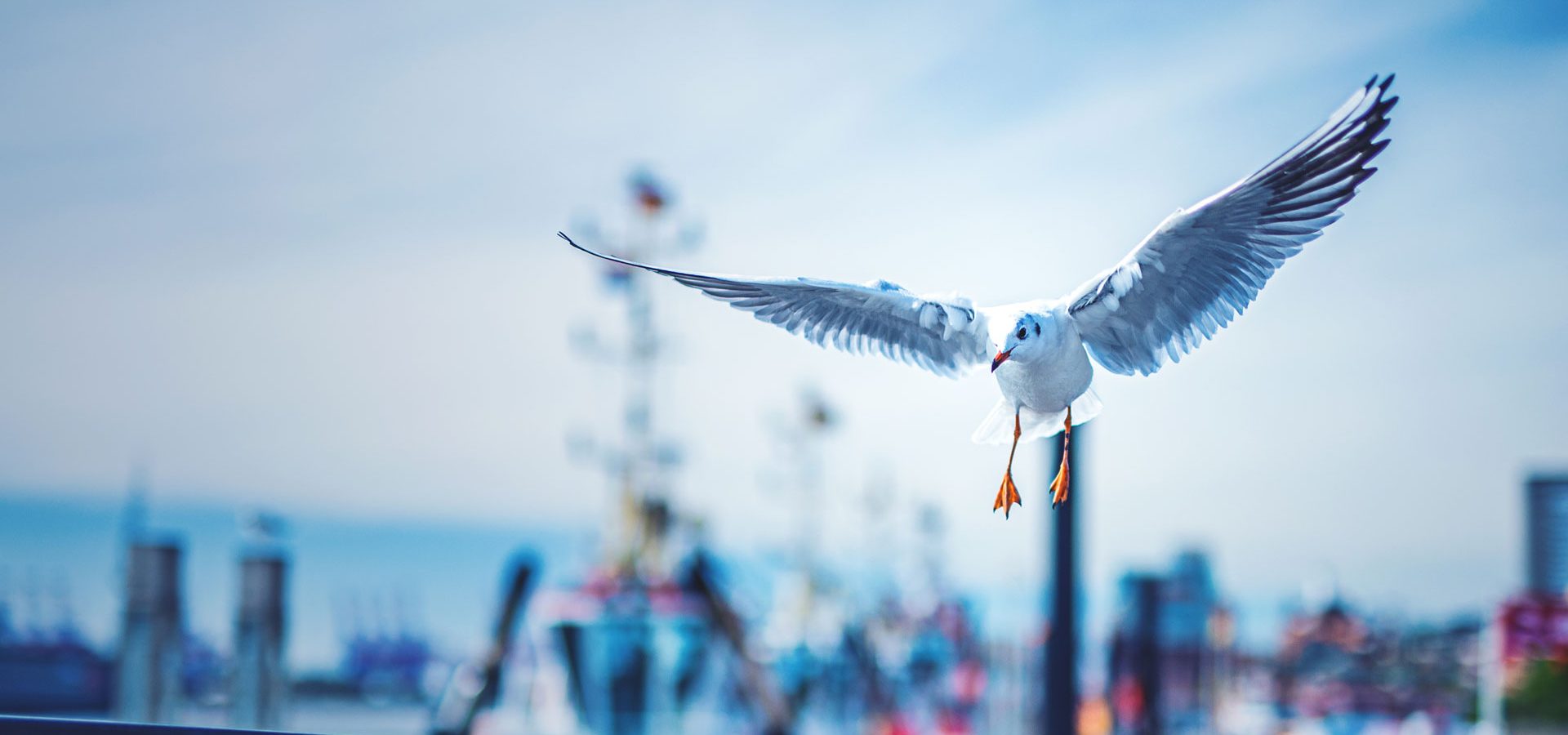 1 Medizinprodukte & Wundversorgung